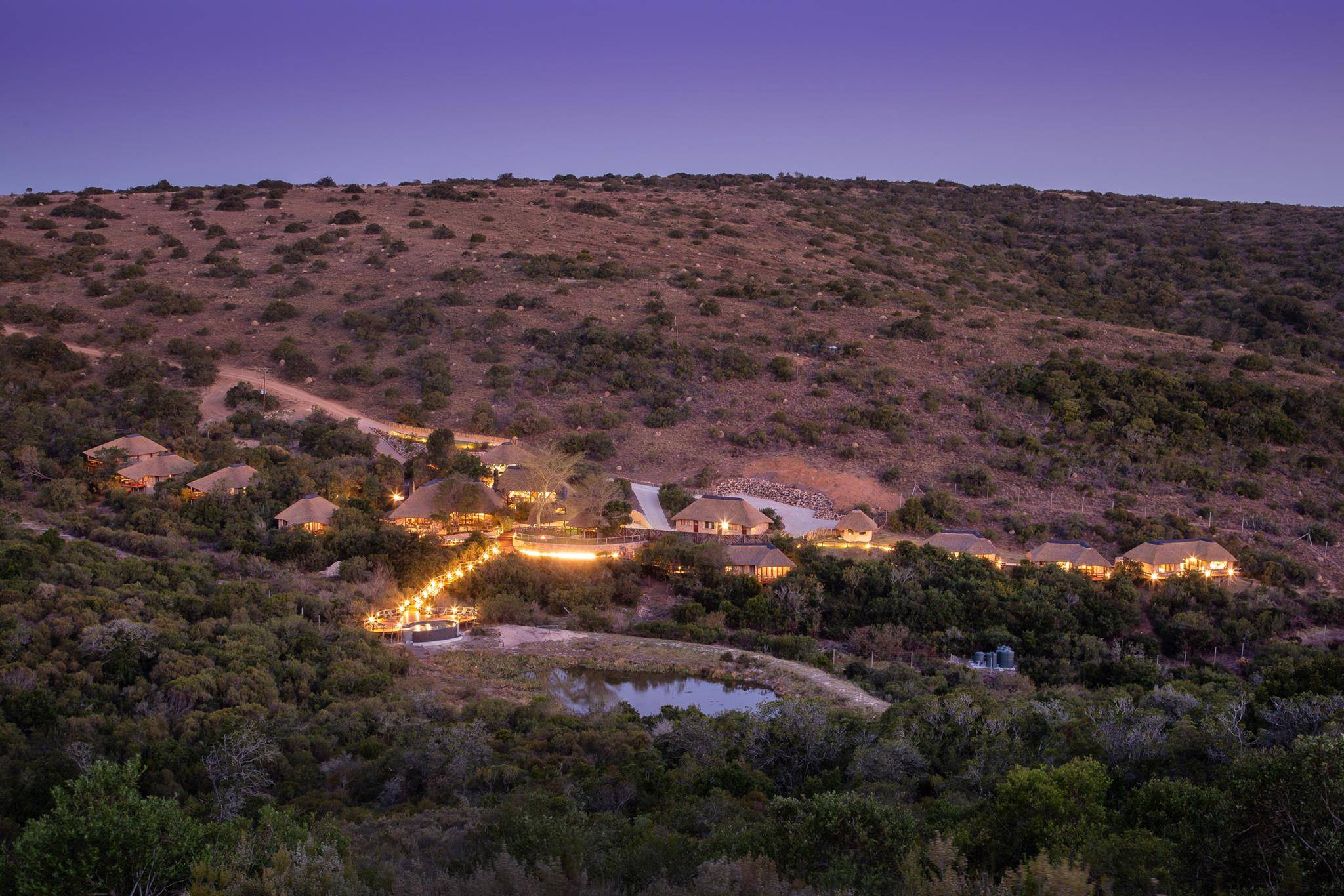 Lalibela Wildlife Reserve’s Bold ‘Ecosystem Reset’ Takes Root