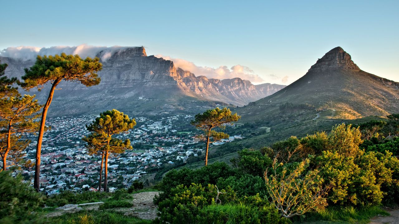 SA Hotels Cash in Higher Rates and Longer Stays this Summer, RoomRaccoon Report Reveals