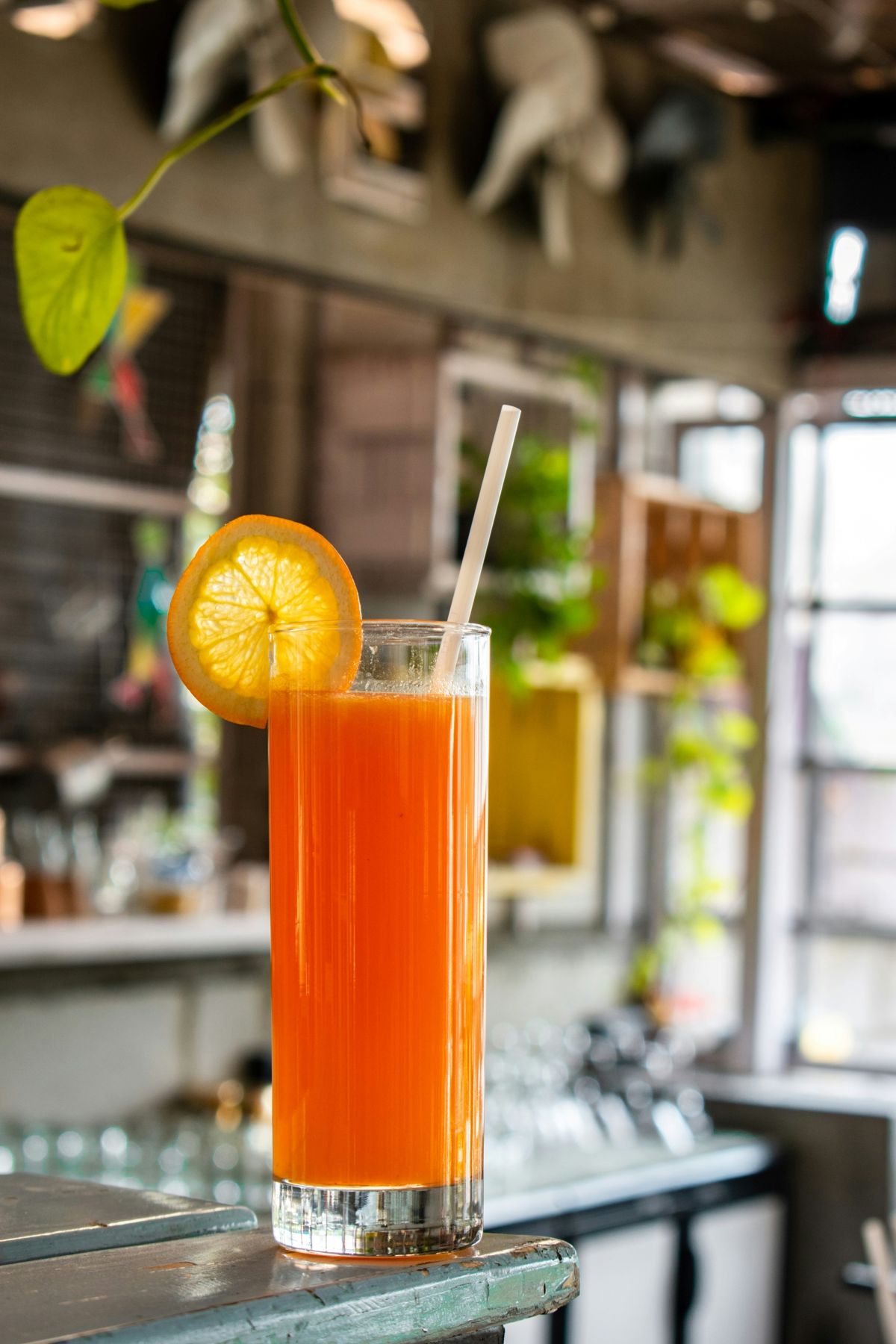 Non-Alcoholic Drinks for Any Day of the Week