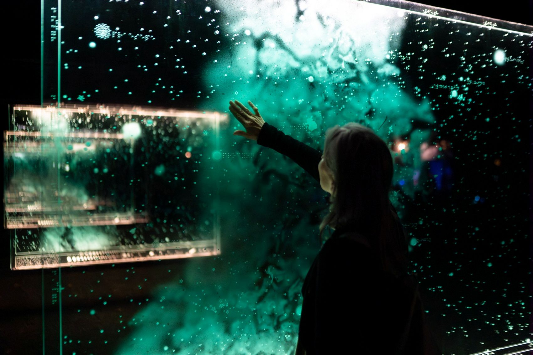 Call for Entries: Spier Light Art 2026 Invites Artists to Illuminate Stellenbosch Wine Farm