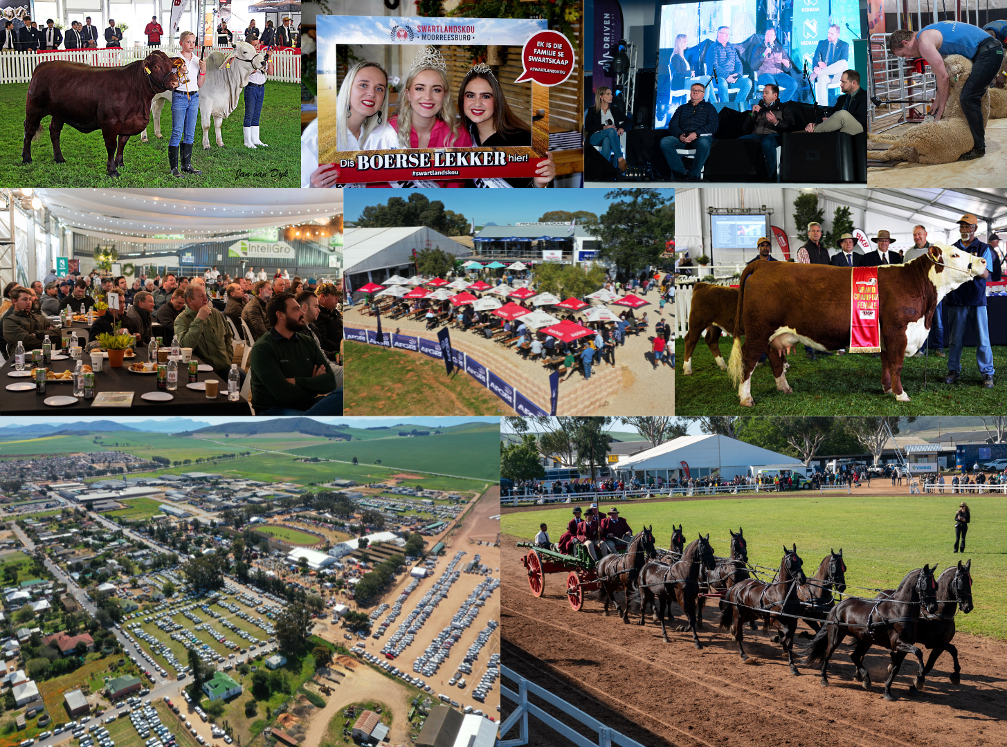 Swartland Show 2025: Four Days of Farming, Business and Country Hospitality