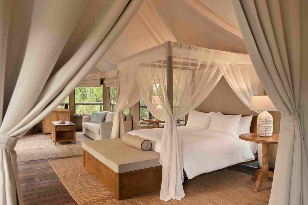 City Lodge Emerging Jobs Highlight Future Skills for Future Travellers
