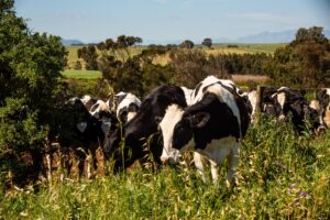 Biosecurity crisis and tourism boom defining 2026 Macro Industry Trends