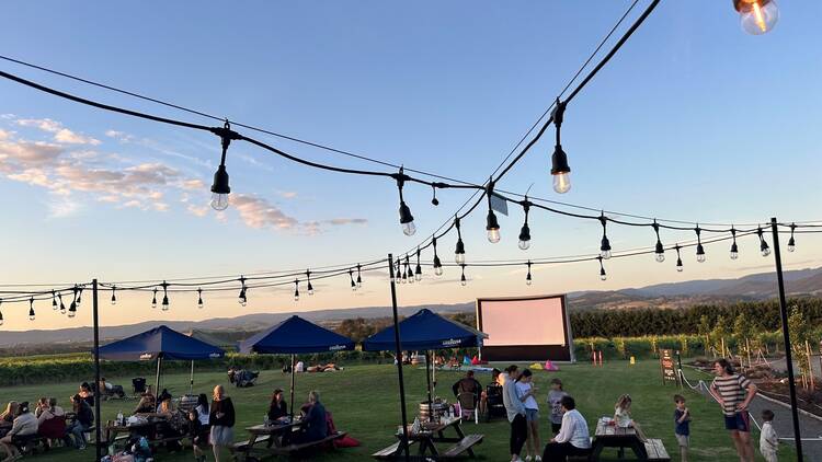 Why More Families are Choosing Wine Estates for “famcay” destinations