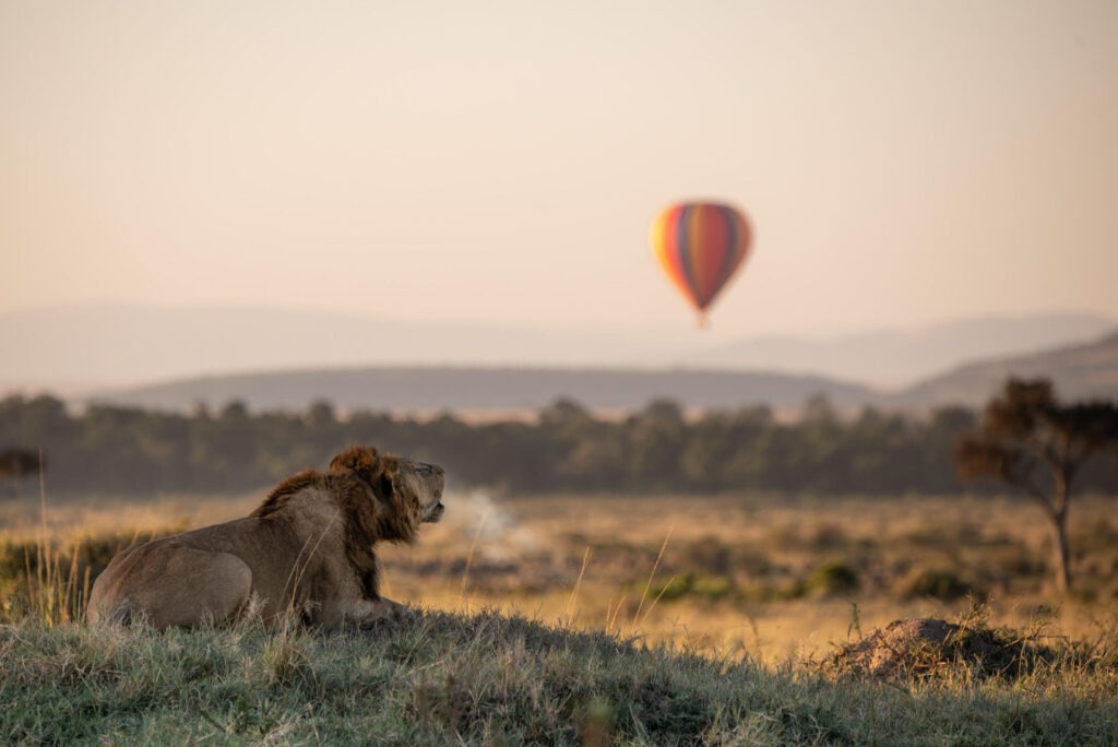 Africa New luxury travel brand invites the world to ‘tell your own African story, your way’