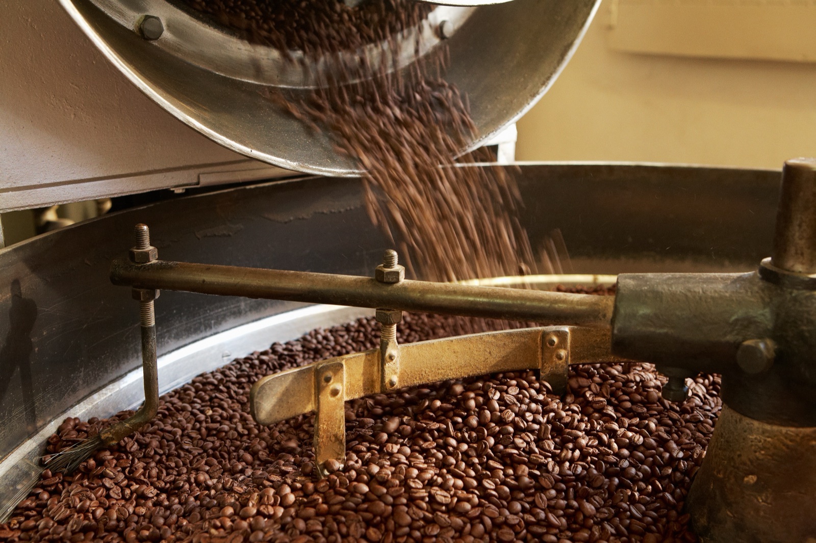 Freshly roasted coffee beans tumbling from the roaster
