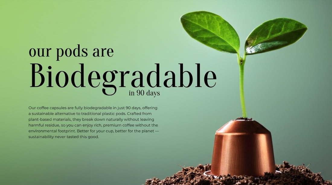 A green seedling growing from a MiCasa biodegradable coffee capsule — fully biodegradable in 90 days