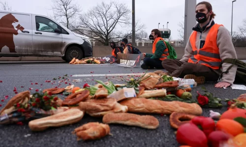 One-third of the world’s food is wasted: The global food crisis happening in our bins