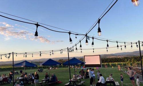 Why More Families are Choosing Wine Estates for “famcay” destinations