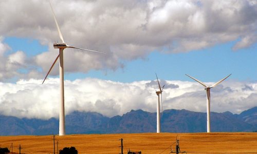 South African Wind Farm Contractors Under Pressure as Renewable Energy Market Expands