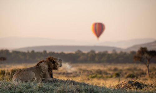 Africa New luxury travel brand invites the world to ‘tell your own African story, your way’